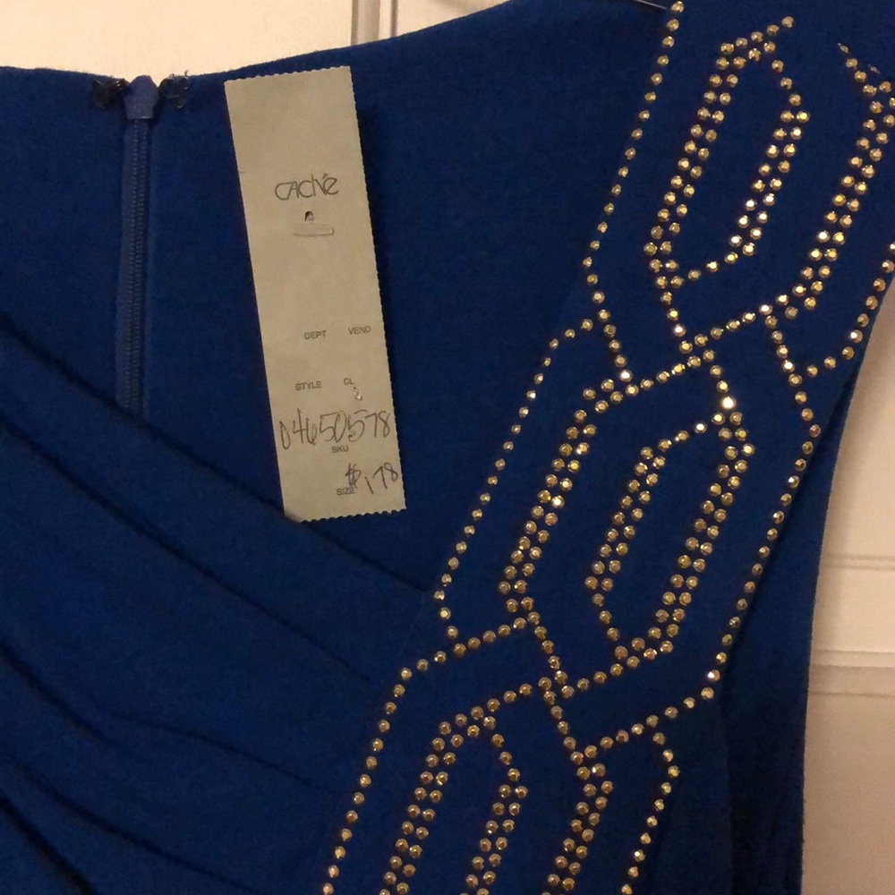 Beautiful Cache Dress - Picture 3 of 4